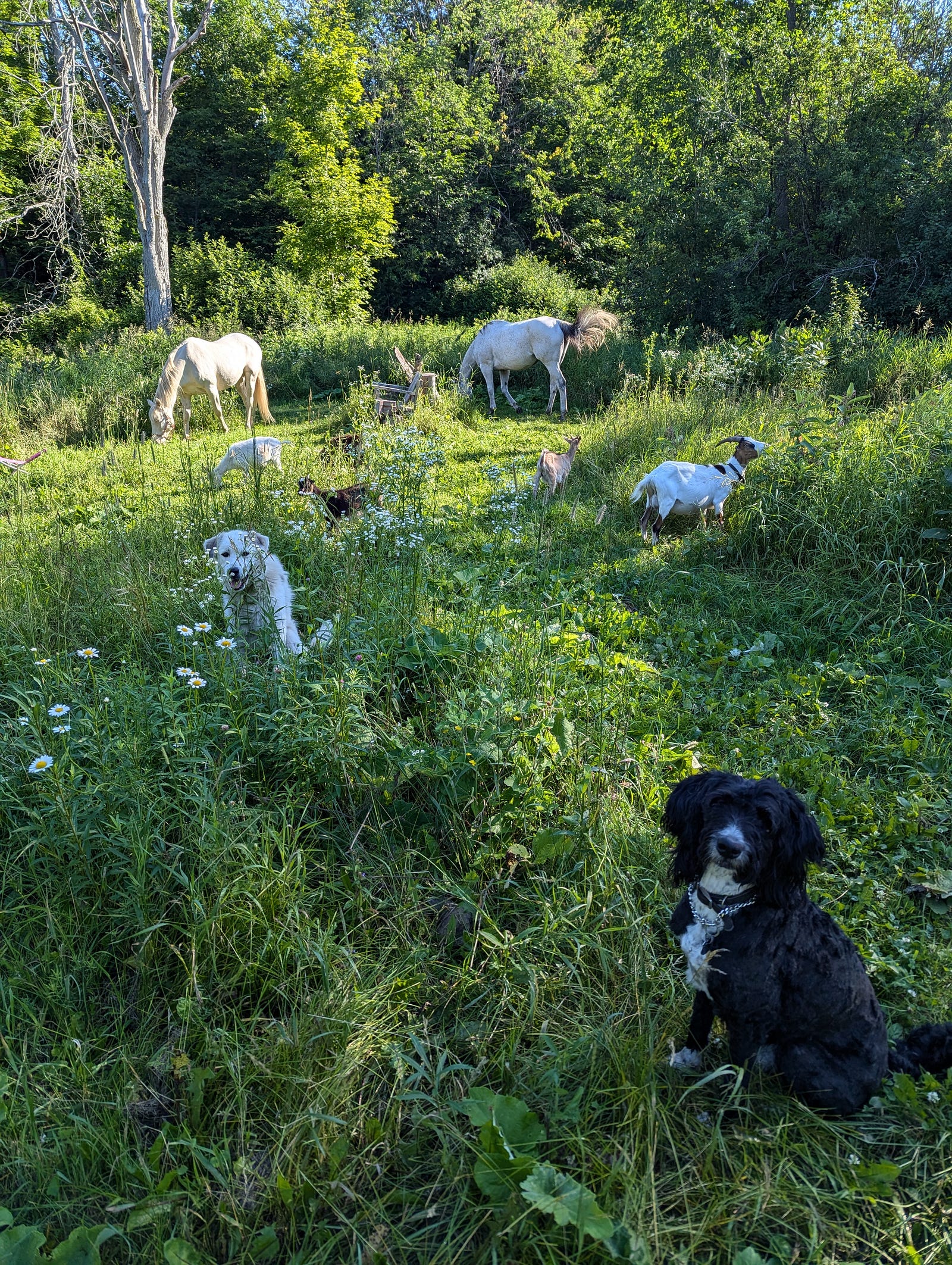 The motley crew chomping down